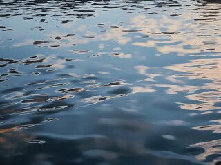 reflection