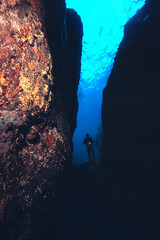 a diver in a grotto in the Caribbean Sea