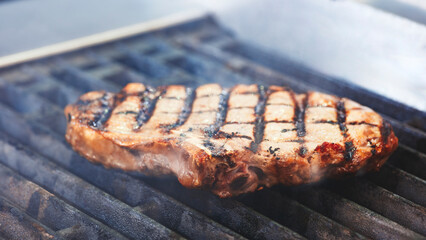 A piece of meat is being grilled on a grill