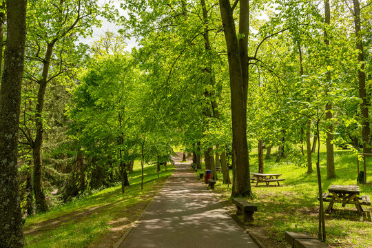 Le parc Bargoin &agrave; Clermont-Ferrand en Auvergne France
