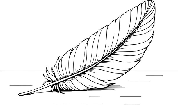  Plume sur plan de travail en bois - Dessin au trait line art, vecteur noir avec contour isol&eacute; fond transparent. Style minimaliste, peut convenir a page de livre de coloriage, journal, agenda, cahier.