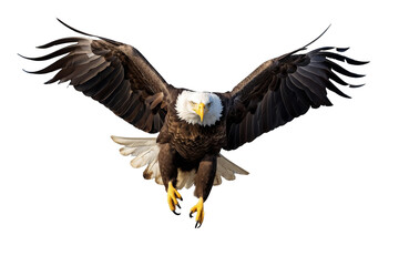 Obraz premium Bald Eagle in Flight on Transparent Background