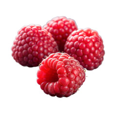 Fresh Ripe Raspberries Highlighted Against a Transparent Background