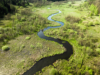 Small river and swamps at spring. Wildlife in Poland.