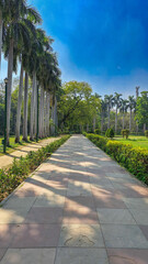Concrete pathway in Lodhi Garden Park, New Delhi, India. Flanked by lush greenery. Tall palm trees. Under clear blue sky, sunny day. Shadows, birds flying overhead.
