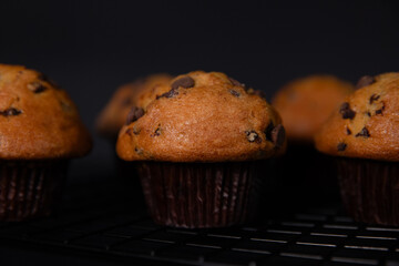 Homemade muffins with chocolate chips on a black background. Selective focus.