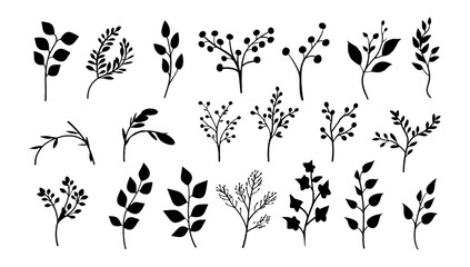 This elegant collection of hand-drawn botanical elements includes various types of leaves, flowers and plants in detailed