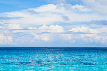 Obraz premium Beautiful landscape of the Indian Ocean coast