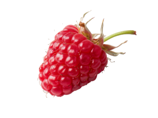 A Single Raspberry with a Transparent Background PNG