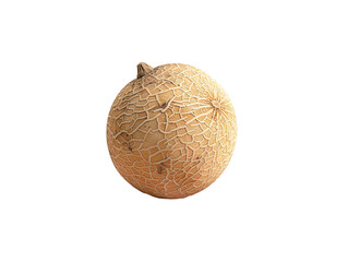 A Single Cantaloupe with a Transparent Background PNG