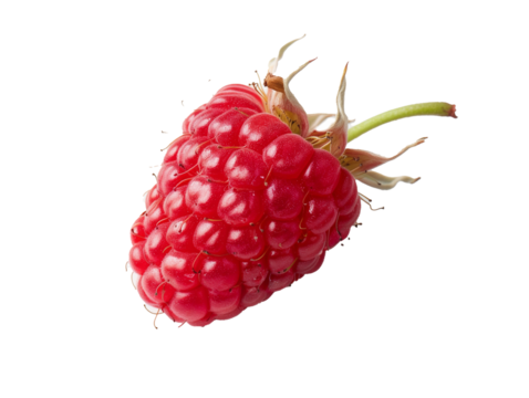 A Single Raspberry with a Transparent Background PNG