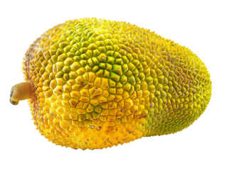 A Single Jackfruit with a Transparent Background PNG