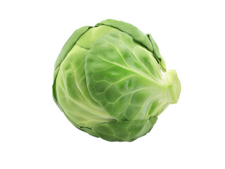 A Single Brussels Sprout with a Transparent Background PNG