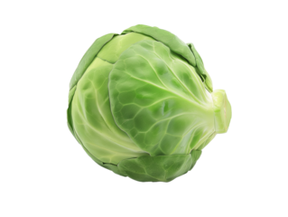 A Single Brussels Sprout with a Transparent Background PNG