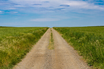 Field road, countryside landscape of Srem region, province of Vojvodina in north Serbia