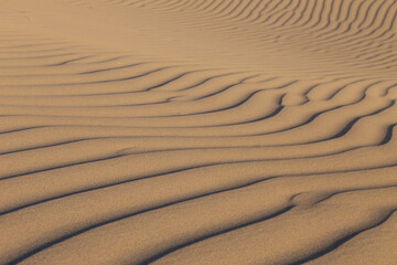 Fototapeta premium Dune texture creating harmonic patterns with lots of copy space in fine details