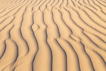 Sand dune texture in full details as a backdrop
