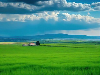 Obraz premium tractor in field