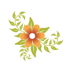 Flowers Illustrations Vectors