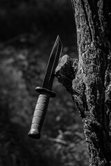 An army knife with a blade stuck in a tree.
A knife with a green rubberized handle and a black...