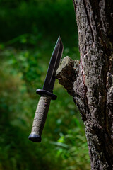 An army knife with its blade stuck in a tree.
A knife with a green rubberized handle and a black...