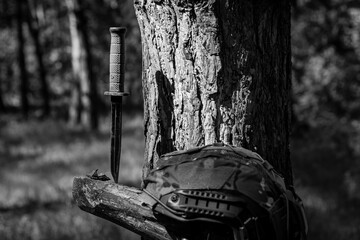 Military assault helmet and tactical knife in the forest on a tree.
Military ammunition, tactical...