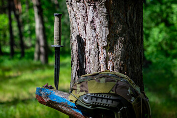 Military assault helmet and tactical knife in the forest on a tree.
Military equipment, tactical...