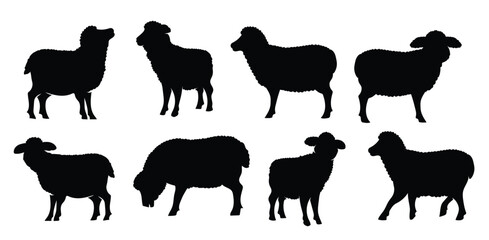 flat sheep silhouettes collection