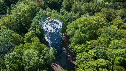 Tower Standing Tall in Forest