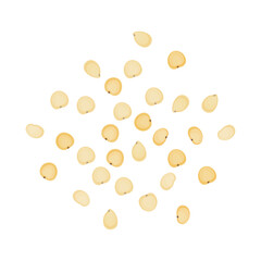 Logo Vector Illustration Sorghum grain