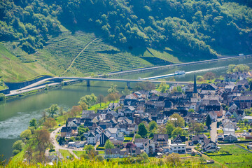 Mosel vineyards