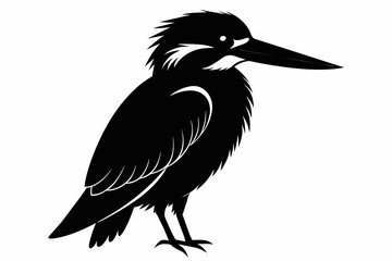 kingfisher silhouette on white background, Vector illustration, icon, svg, characters, Holiday t shirt, Hand drawn trendy Vector illustration, eagle silhouette