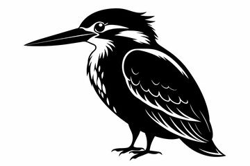 kingfisher silhouette on white background, Vector illustration, icon, svg, characters, Holiday t shirt, Hand drawn trendy Vector illustration, eagle silhouette