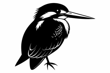 kingfisher silhouette on white background, Vector illustration, icon, svg, characters, Holiday t shirt, Hand drawn trendy Vector illustration, eagle silhouette