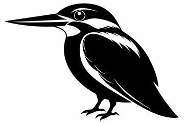 kingfisher silhouette on white background, Vector illustration, icon, svg, characters, Holiday t shirt, Hand drawn trendy Vector illustration, eagle silhouette