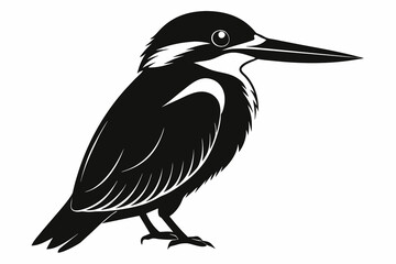 kingfisher silhouette on white background, Vector illustration, icon, svg, characters, Holiday t shirt, Hand drawn trendy Vector illustration, eagle silhouette