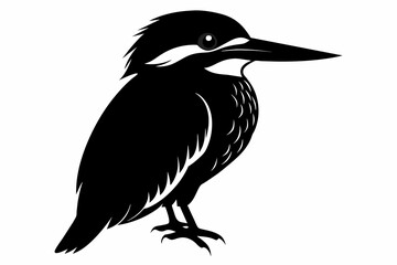 Fototapeta premium kingfisher silhouette on white background, Vector illustration, icon, svg, characters, Holiday t shirt, Hand drawn trendy Vector illustration, eagle silhouette