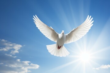 White dove with wings spread in blue sky