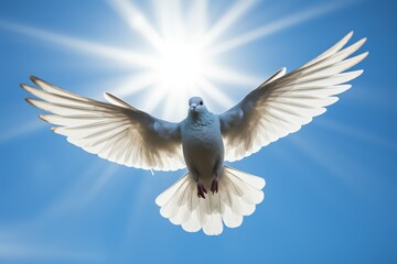 Fototapeta premium Majestic white dove with wings spread against blue sky