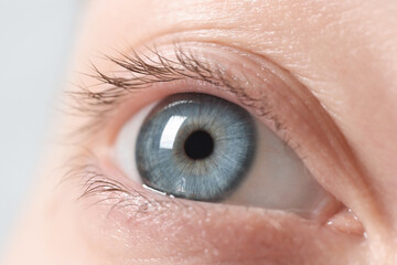 Macro photo of woman with beautiful eyes