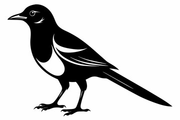 Magpie silhouette on white background, Vector illustration, icon, svg, characters, Holiday t shirt, Hand drawn trendy Vector illustration