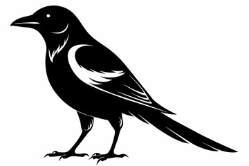Magpie silhouette on white background, Vector illustration, icon, svg, characters, Holiday t shirt, Hand drawn trendy Vector illustration