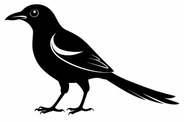 Obraz premium Magpie silhouette on white background, Vector illustration, icon, svg, characters, Holiday t shirt, Hand drawn trendy Vector illustration