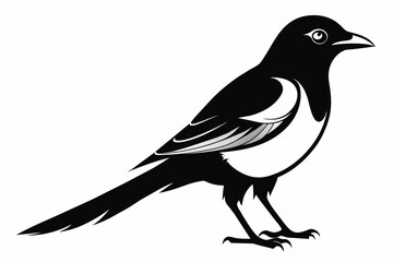 Obraz premium Magpie silhouette on white background, Vector illustration, icon, svg, characters, Holiday t shirt, Hand drawn trendy Vector illustration