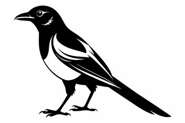 Obraz premium Magpie silhouette on white background, Vector illustration, icon, svg, characters, Holiday t shirt, Hand drawn trendy Vector illustration