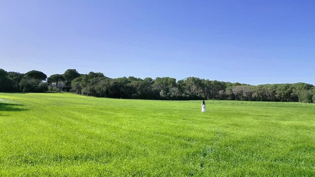 Aerial drone view of green meadow, woman with long dress walking in nature, 4K