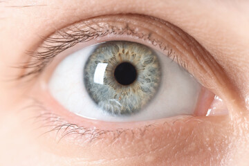 Macro photo of woman with beautiful eyes