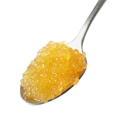 Fresh pike caviar in spoon isolated on white