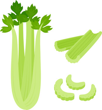 green celery bunch and cut pieces clip art preview