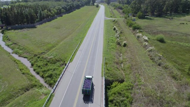 Cami&oacute;n de comercio lleva mercader&iacute;a por la carretera, ruta, vista de dron. D&iacute;a soleado.